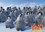 HAPPY-FEET