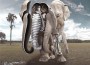 Elefante_Cibernetico Elefante_Cibernetico