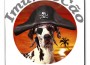 imundo-cão-pirata imundo-cão