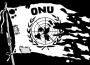 A ingerente ONU esquerdizada
