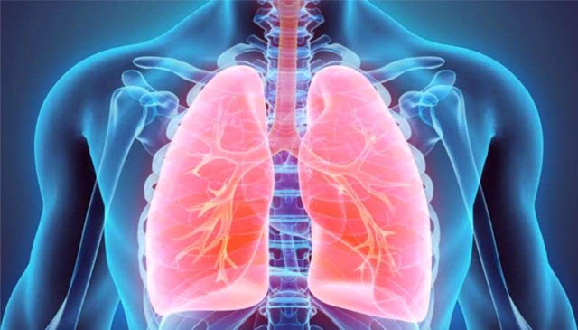 bronquite e a DPOC - Muitas doenças apresentam sintomas semelhantes e acabam confundindo os pacientes. Dois exemplos que geram dúvidas são a bronquite e a DPOC