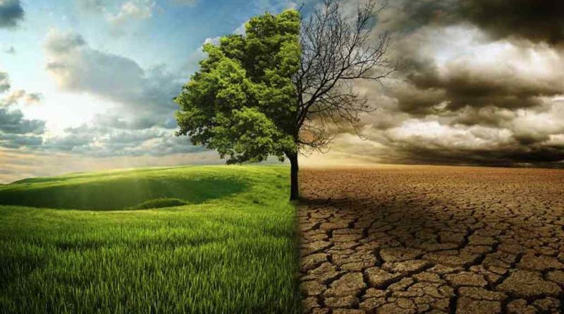 Mudanças climáticas: nossos esforços são suficientes? 4