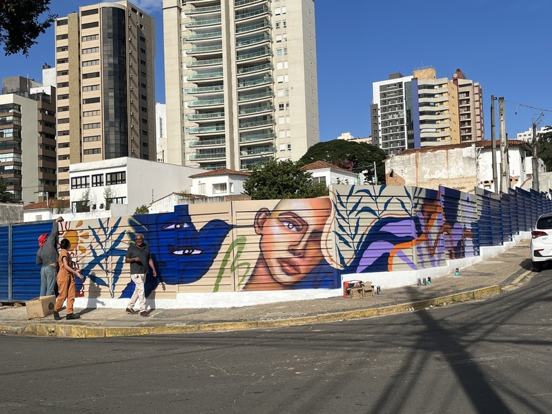 Artistas de Campinas transformam tapume de obra em grande tela a céu aberto e propõe cenário 'instagramável' 3