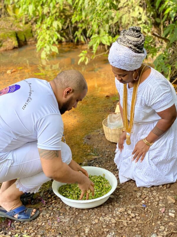 O Candomblé, religião de matriz africana, traz uma visão profunda e reverente do meio ambiente. Para os seguidores dessa tradição, os Orixás são mais do que...