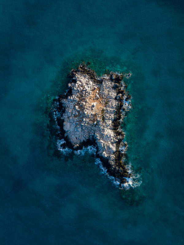 Um estudo científico publicado na revista Ocean and Coastal Research, da Universidade de São Paulo (USP), revela que habitats marinhos de extrema importância...