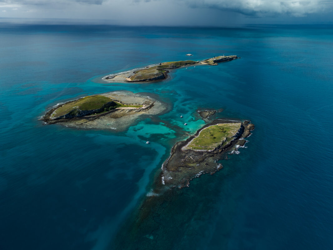 Um estudo científico publicado na revista Ocean and Coastal Research, da Universidade de São Paulo (USP), revela que habitats marinhos de extrema importância...