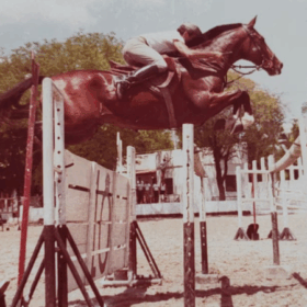 Cavalaria - Eles se conhecem pelo brilho no olho e o andar carrega o resultado dos combates de uma ancestralidade. Na memória de dias passados com GLÓRIA, somente os que...