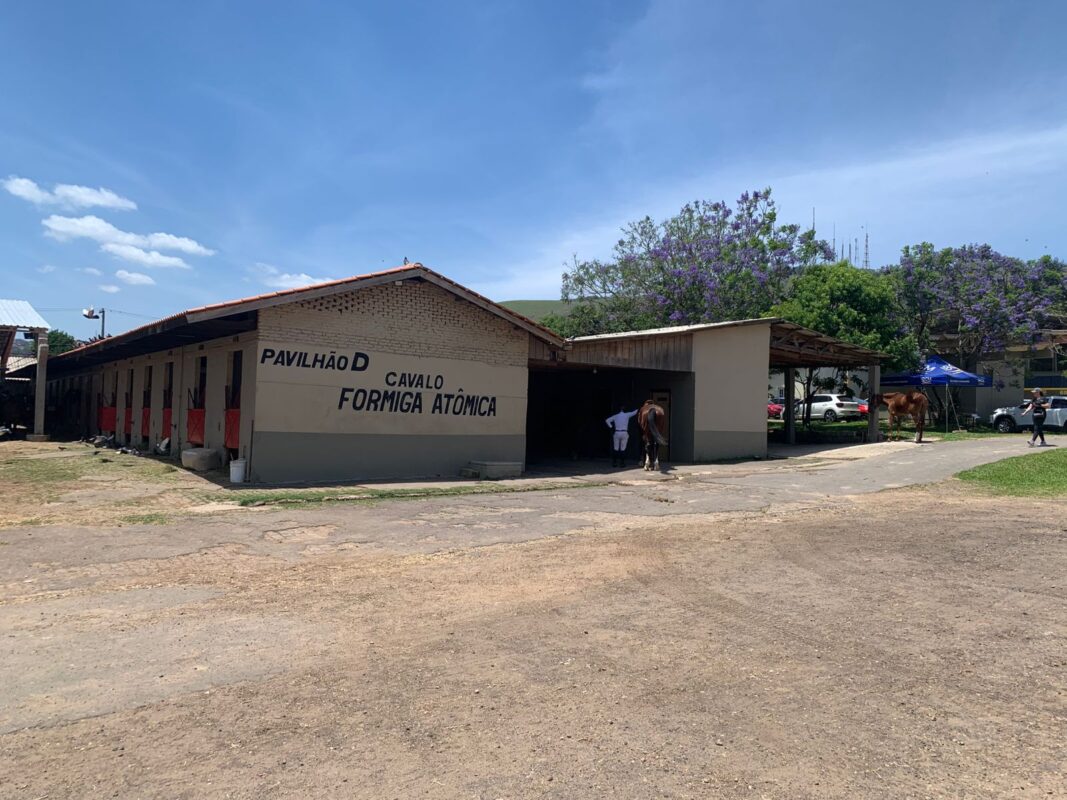 Formiga Atômica: uma Lenda da Brigada Militar 1 cavalo Formiga Atômica, um animal que se tornou uma verdadeira lenda da Brigada Militar do Rio Grande do Sul, acumulando prêmios, participações em eventos...