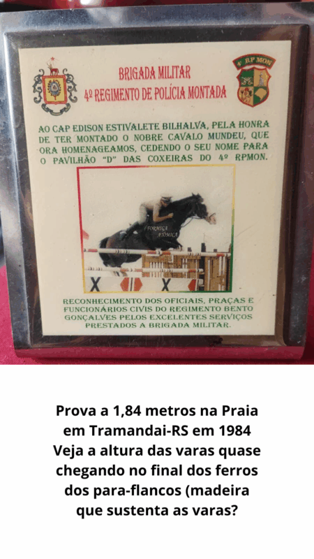Formiga Atômica: uma Lenda da Brigada Militar 2 cavalo Formiga Atômica, um animal que se tornou uma verdadeira lenda da Brigada Militar do Rio Grande do Sul, acumulando prêmios, participações em eventos...