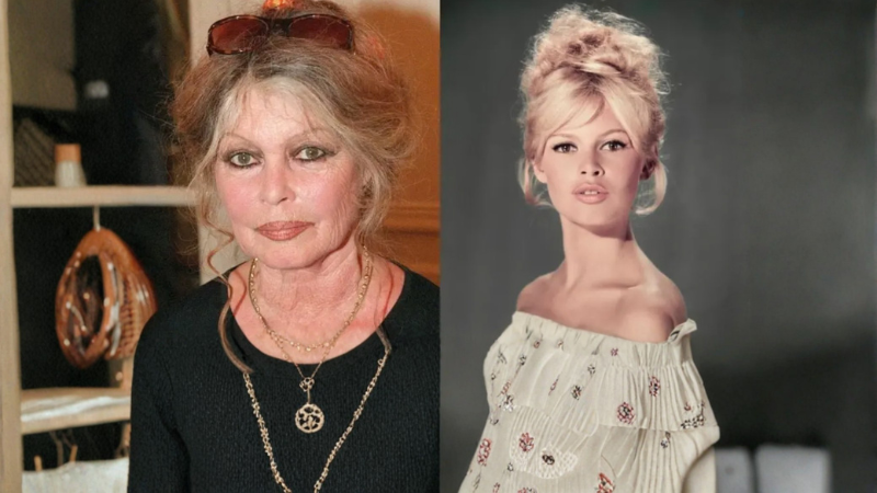 Longe dos holofotes, Brigitte Bardot levava uma vida campesina, dedicando-se ao trato cotidiano de animais