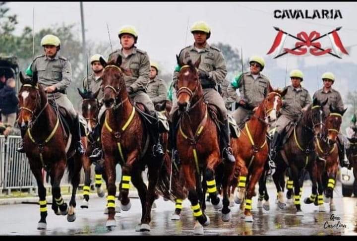 Capitão PM Fabiano Rocha: Trajetória de Honra e Dedicação na Brigada Militar do Rio Grande do Sul 6 O Capitão PM Fabiano Bastos da Rocha, oficial da Brigada Militar do Rio Grande do Sul, representa uma história de superação, disciplina e compromisso com a...