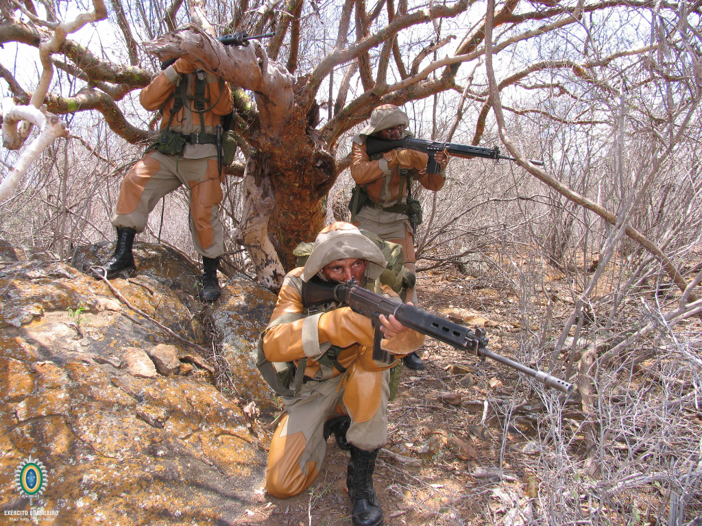 Você conhece o Exército Brasileiro? 13 O Exército Brasileiro é muito mais do que uma instituição de defesa; é um dos pilares mais sólidos sobre os quais se ergue a soberania da nação. Com presença...