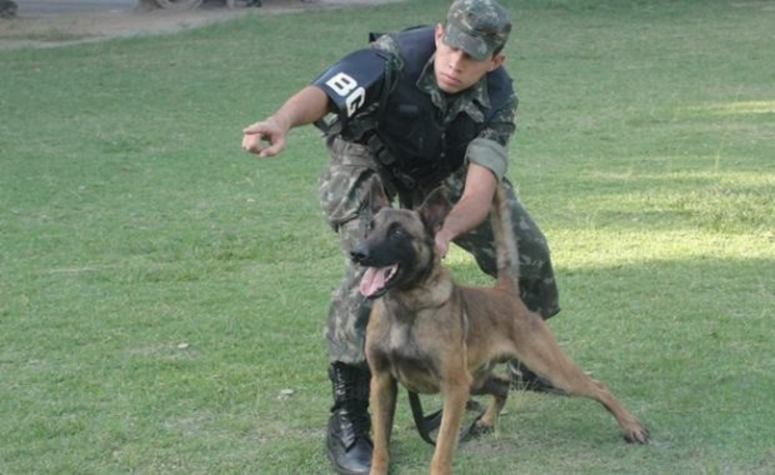 Você conhece o Exército Brasileiro? 23 O Exército Brasileiro é muito mais do que uma instituição de defesa; é um dos pilares mais sólidos sobre os quais se ergue a soberania da nação. Com presença...